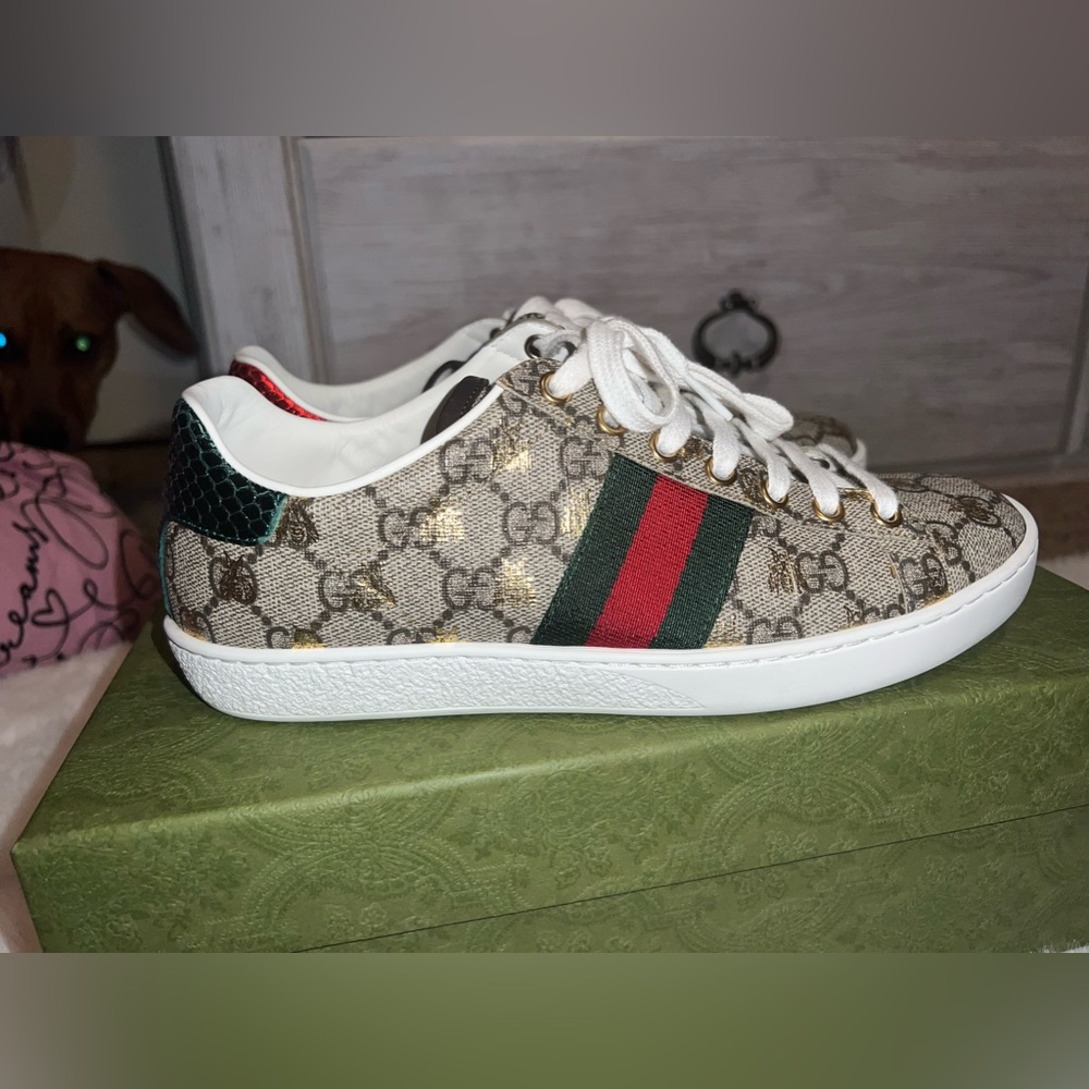 GUCCI ACE - Picture 8 of 11